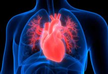 Un estudio de Mayo Clinic explora la insuficiencia cardíaca y descubre el rol de un gen en la recuperación