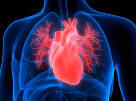 Un estudio de Mayo Clinic explora la insuficiencia cardíaca y descubre el rol de un gen en la recuperación