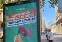 Campaña Enero Vegano se consolida en Chile con exitosos resultados  