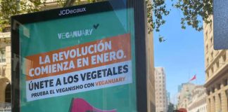 Campaña Enero Vegano se consolida en Chile con exitosos resultados  