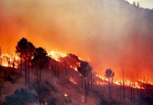 Incendios en la Región de Valparaíso y la amenaza silenciosa para la salud humana 