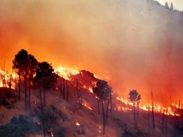 Incendios en la Región de Valparaíso y la amenaza silenciosa para la salud humana 