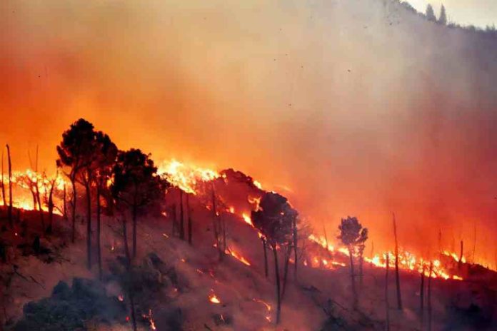 Incendios en la Región de Valparaíso y la amenaza silenciosa para la salud humana 