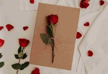 “Las luces y sombras del amor” “Las luces y sombras del amor”