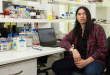 Las neuronas del sistema nervioso periférico tienen la capacidad de regenerarse Las neuronas del sistema nervioso periférico tienen la capacidad de regenerarse