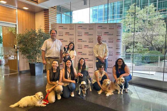 Nestlé Chile implementa programa “Pets at Work” que permite a sus colaboradores trabajar junto a sus mascotas en la oficina