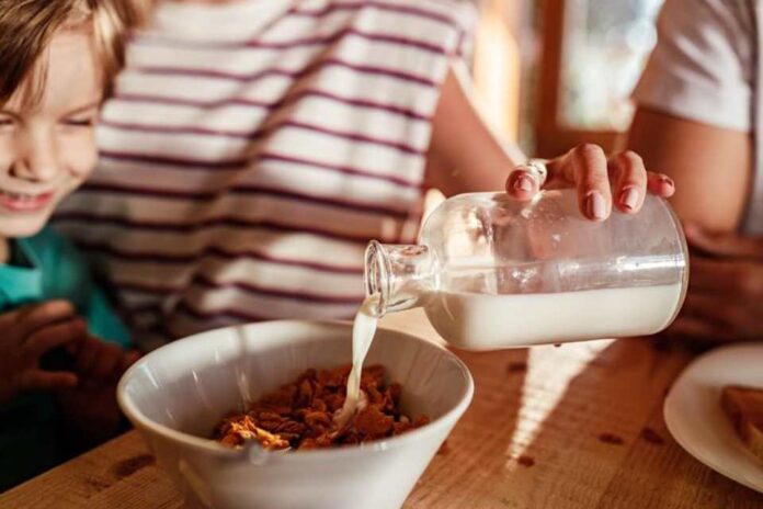 Estudio posiciona a los cereales de grano entero como alimento clave para el desayuno