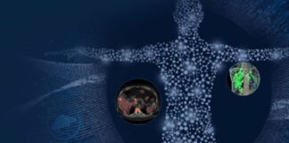 ¿Qué es la Teranóstica y cuál es su importancia en el futuro del cuidado del paciente