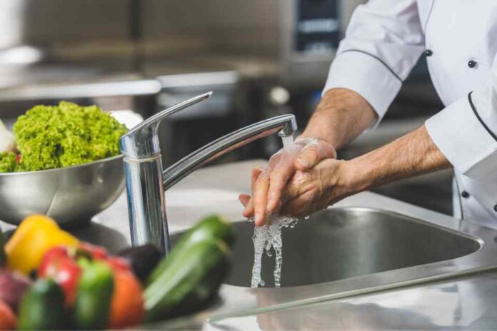 Comidas preparadas encabezan las principales causas de enfermedades transmitidas por alimentos en Chile