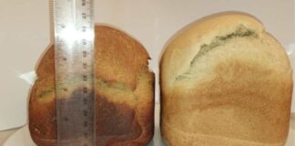Comprueban que pan con harina de porotos disminuye niveles de glucemia en personas mayores