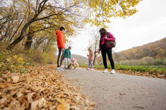 Con caminata familiar se celebrará el Día Mundial de la Salud en Chillán 