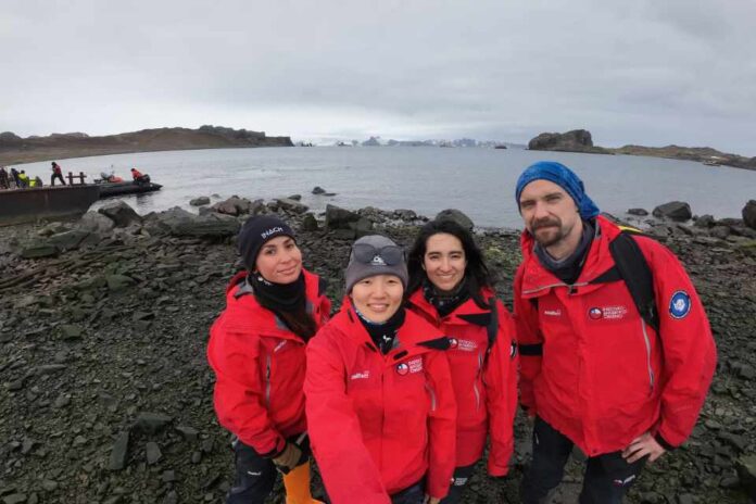 Equipo chileno logra secuenciar por primera vez el genoma completo de la influenza aviar altamente patógena en la Antártica