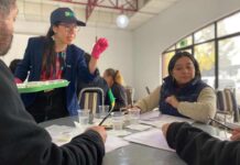 Científicos estudian nuevo tipo de leche alta en proteína para alérgicos  Científicos estudian nuevo tipo de leche alta en proteína para alérgicos