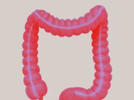 Día Mundial de las Enfermedades Inflamatorias Intestinales