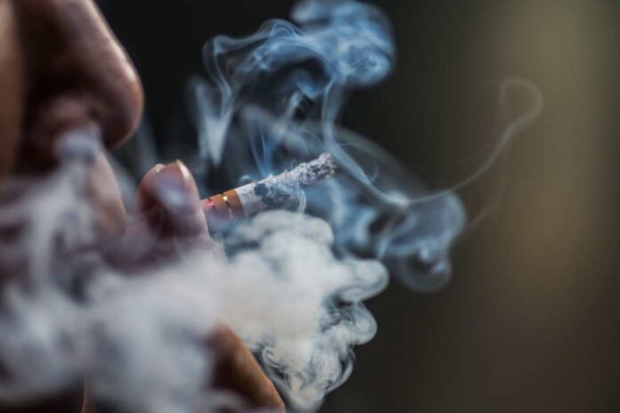 Tabaquismo pasivo infantil cómo proteger a los niños de la inhalación involuntaria del humo del tabaco Tabaquismo pasivo infantil: cómo proteger a los niños de la inhalación involuntaria del humo del tabaco