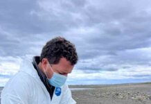 Tasa de mortalidad en humanos por gripe aviar es mayor a 50% Tasa de mortalidad en humanos por gripe aviar es mayor a 50%