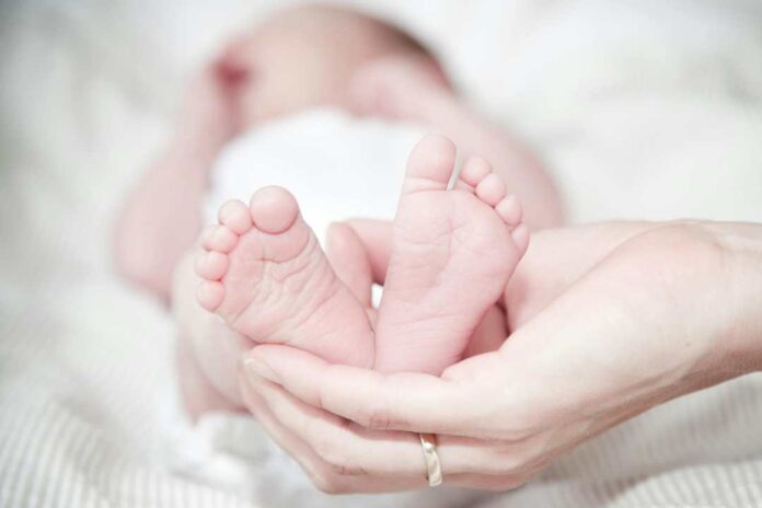 Baja tasa de natalidad: propuesta de expertos incluye subsidios y aportes económicos directo a las madres