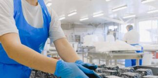 Día de la Inocuidad Alimentaria: 600 millones de personas enferman al año por consumir productos contaminados