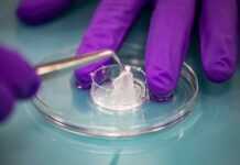 L'Oréal Groupe presentó su plataforma de modelos de piel bioimpresos SkinTechnology 