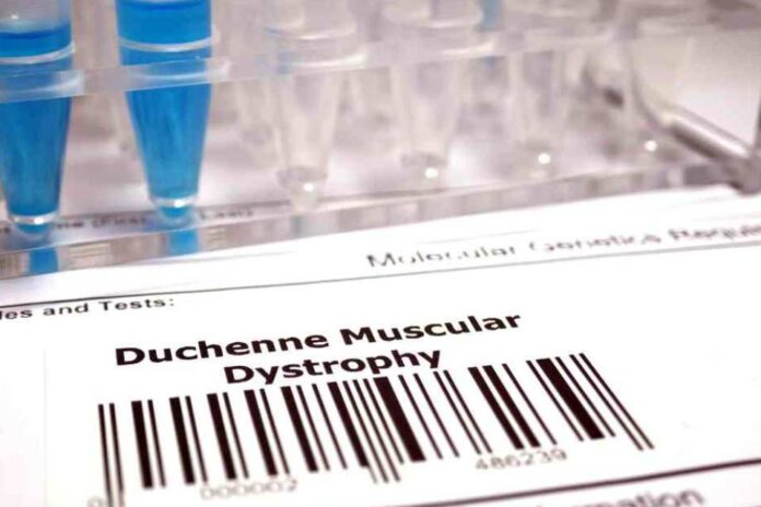 Chilenos que caminan por sus hijos ¿Qué sabemos sobre la Distrofia Muscular de Duchenne Chilenos que caminan por sus hijos ¿Qué sabemos sobre la Distrofia Muscular de Duchenne