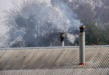 Contaminación ambiental y sus efectos en las enfermedades respiratorias y cardiovasculares Contaminación ambiental y sus efectos en las enfermedades respiratorias y cardiovasculares