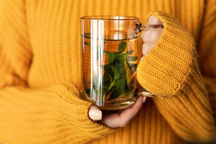 Deje reposar la preparación y obtenga todos los beneficios de las infusiones medicinales