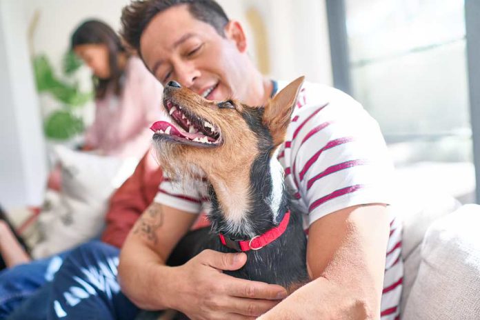 5 pasos para una adopción responsable 5 pasos para una adopción responsable