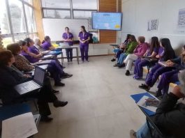 Cuidado físico y nutricional del adulto mayor y Prevención de la obesidad infantil son parte de nuevos proyectos del programa Redes Territoriales de Investigación de Ulagos