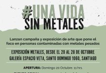 Lanzan campaña y exposición de arte benéfica con foco en personas contaminadas por metales pesados en Cerro Chuño, Arica