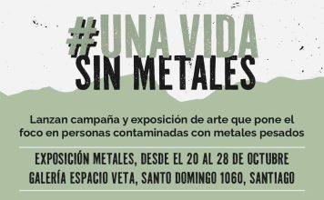 Lanzan campaña y exposición de arte benéfica con foco en personas contaminadas por metales pesados en Cerro Chuño, Arica