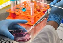 Piel sintética: El esperanzador avance biomédico para el tratamiento de quemados Piel sintética: El esperanzador avance biomédico para el tratamiento de quemados