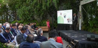 Premio Humanizando la Salud 2024 Conoce los proyectos finalistas y cómo votar por tu favorito