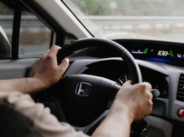 Primavera al volante: Consejos para conducir sin que las alergias te frenen Primavera al volante: Consejos para conducir sin que las alergias te frenen
