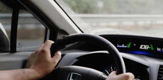Primavera al volante: Consejos para conducir sin que las alergias te frenen