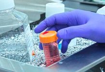 Implementan moderno laboratorio en Las Condes para revolucionar la recuperación de lesiones con terapias biológicas avanzadas Implementan moderno laboratorio en Las Condes para revolucionar la recuperación de lesiones con terapias biológicas avanzadas