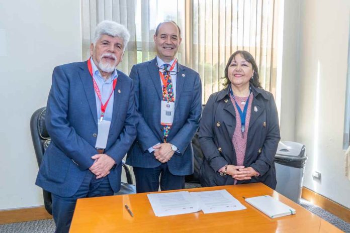 Pediatras y enfermeras hacen urgente llamado para enfrentar la obesidad, sedentarismo, salud mental e inclusión de niños y niñas en todos los colegios de Chile