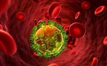 Células madre de cordón umbilical son eficaces en el tratamiento  del cáncer infantil 