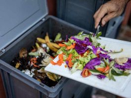 Compostaje: ¿Cómo transformar los desechos en abono y reducir la basura orgánica?