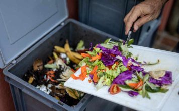 Compostaje: ¿Cómo transformar los desechos en abono y reducir la basura orgánica?