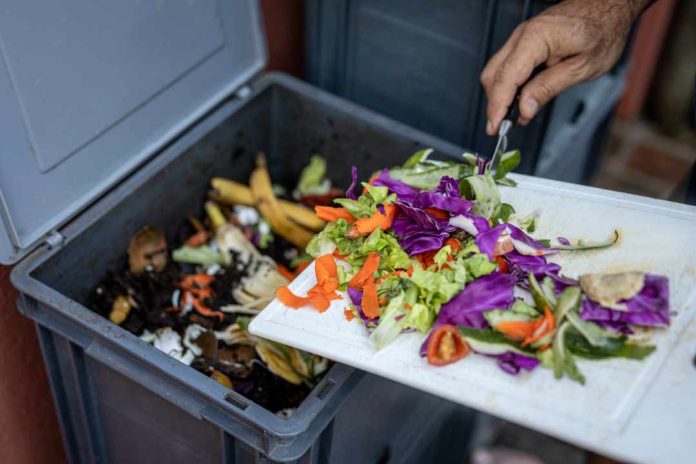 Compostaje: ¿Cómo transformar los desechos en abono y reducir la basura orgánica?