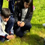 Crean guía gratuita que explora cómo la naturaleza de la ciudad puede ayudar al bienestar de la juventud 