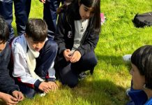 Crean guía gratuita que explora cómo la naturaleza de la ciudad puede ayudar al bienestar de la juventud 