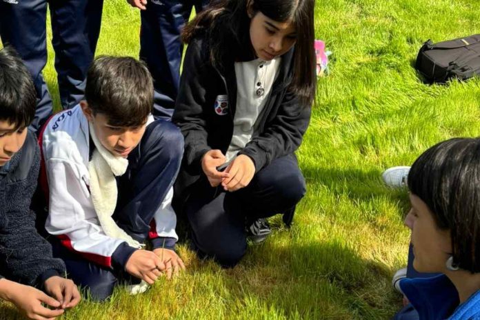 Crean guía gratuita que explora cómo la naturaleza de la ciudad puede ayudar al bienestar de la juventud 