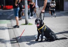 El vínculo entre personas con discapacidad y sus perros de apoyo