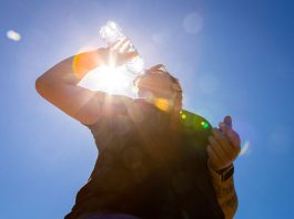 Qué hacer frente a una ola de calor