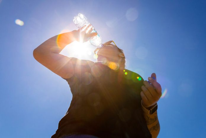 Qué hacer frente a una ola de calor