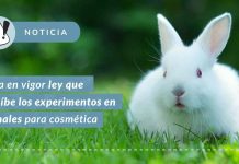 Entra en vigor ley que prohíbe los experimentos en animales para cosméticos en el país Entra en vigor ley que prohíbe los experimentos en animales para cosméticos en el país