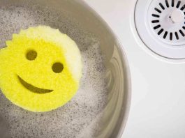 Esponjas virales llegan a Chile y buscan revolucionar el mercado de la limpieza doméstica