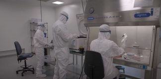 Exalumno de la USM desarrolla investigación de terapia celular que podría mejorar las tasas de supervivencia en pacientes con leucemia