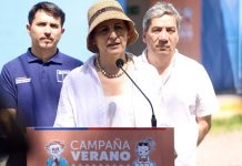 Ministra de Salud advierte por temperaturas extremas: "Hay que estar alerta a la posibilidad del golpe de calor"